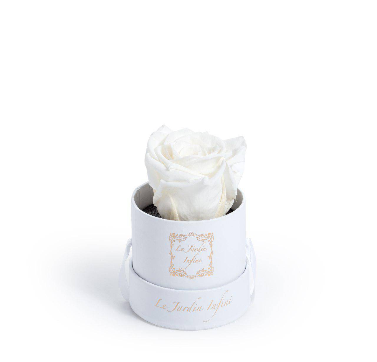 Old Custom Preserved Rose - Small Round Box - Le Jardin Infini Roses in a Box