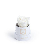 Old Custom Preserved Rose - Small Round Box - Le Jardin Infini Roses in a Box