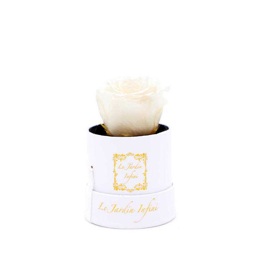 Single Champagne Preserved Rose - Small Round White Box - Le Jardin Infini Roses in a Box