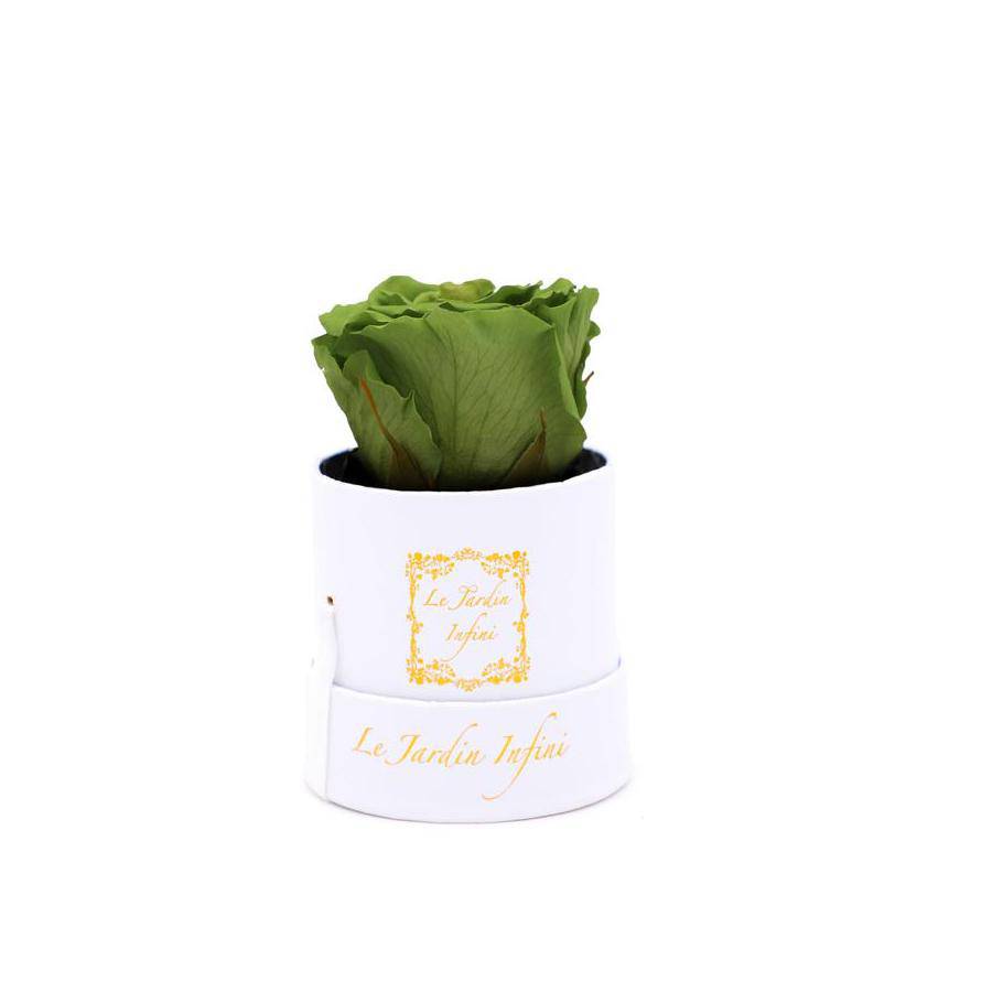 Single Green Preserved Rose - Small Round White Box - Le Jardin Infini Roses in a Box