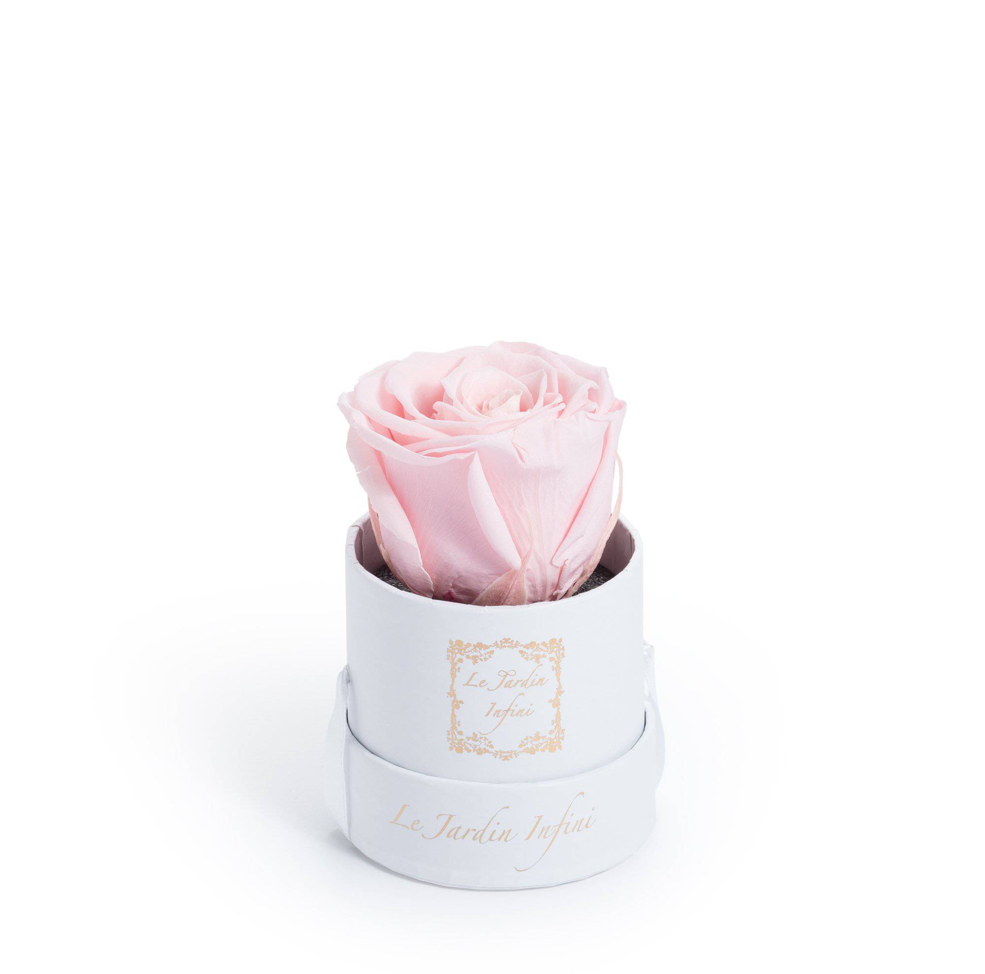 Single Light Pink Preserved Rose - Small Round White Box - Le Jardin Infini Roses in a Box