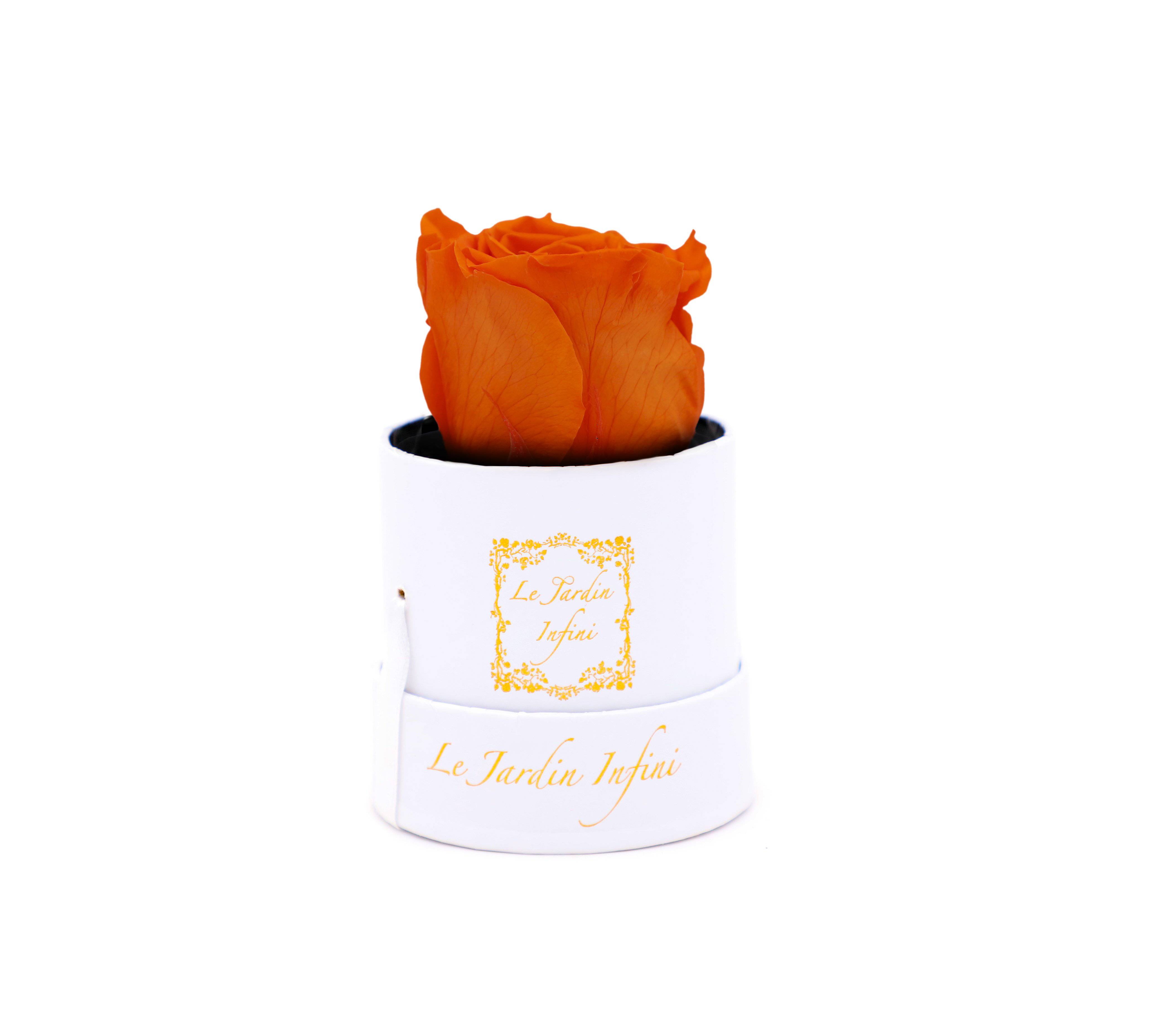 Single Orange Preserved Rose - Small Round White Box - Le Jardin Infini Roses in a Box