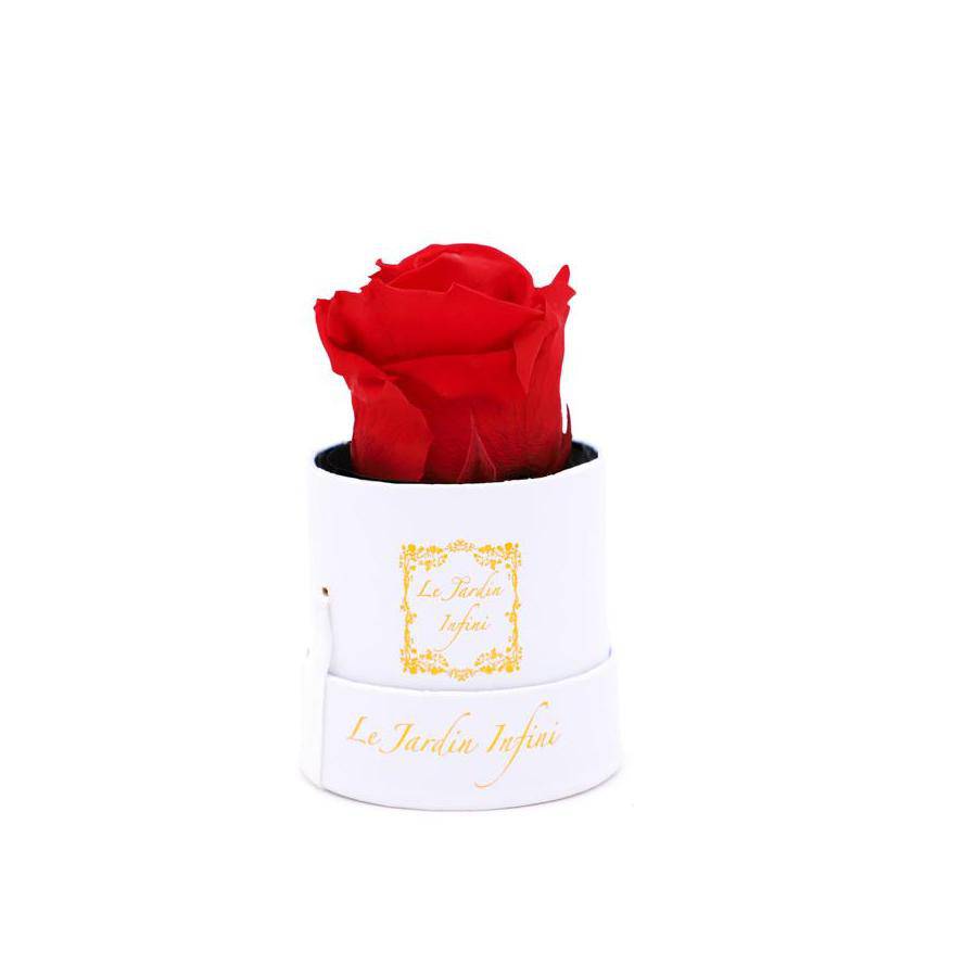 Single Red Preserved Rose - Small Round White Box - Le Jardin Infini Roses in a Box