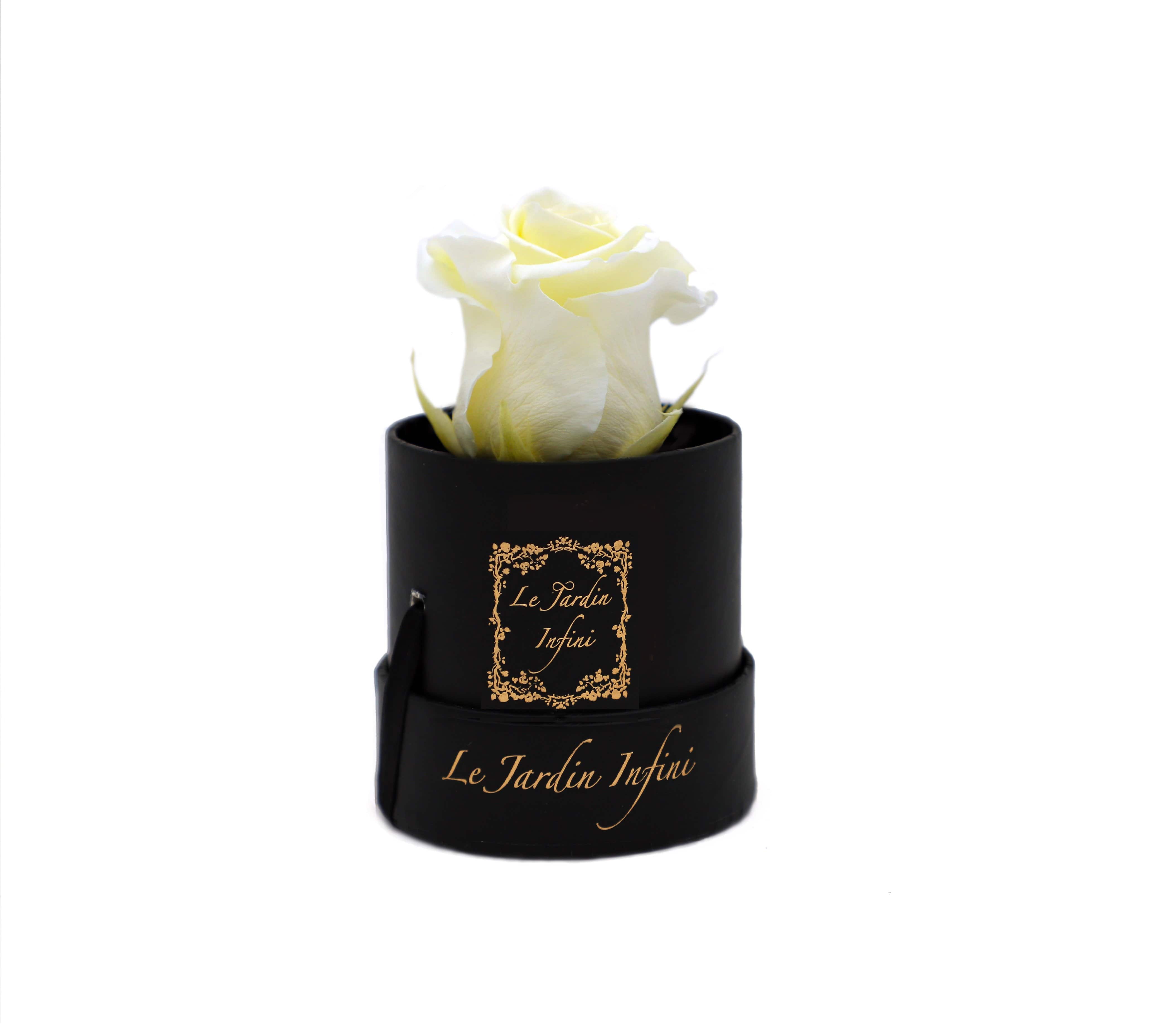 Single Vanilla Cream Preserved Rose - Small Round Black Box - Le Jardin Infini Roses in a Box