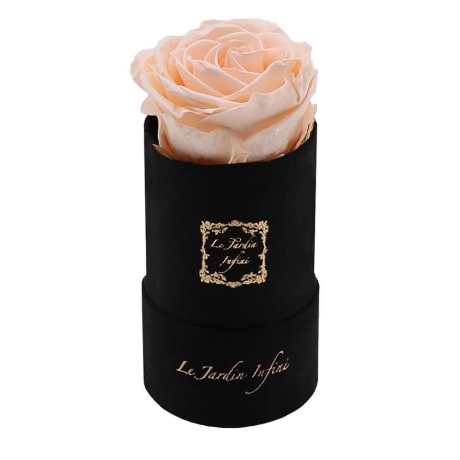 Single Champagne Preserved Rose - Luxury Small Round Black Suede Box - Le Jardin Infini Roses in a Box