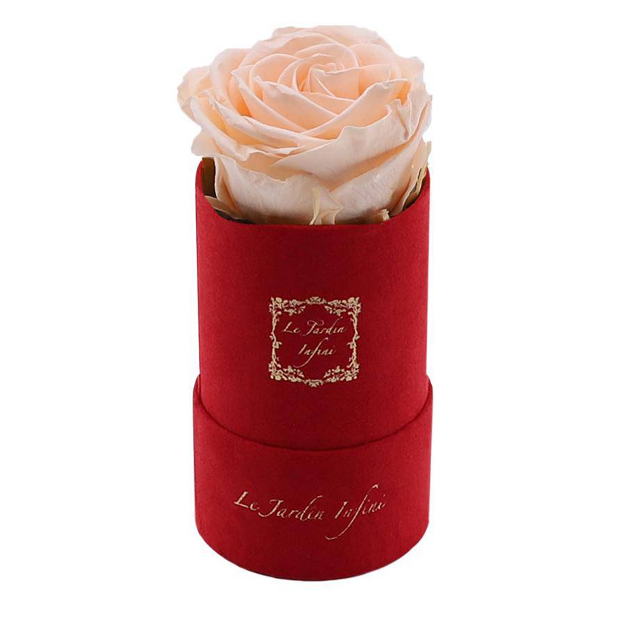 Single Champagne Preserved Rose - Luxury Small Round Red Suede Box - Le Jardin Infini Roses in a Box