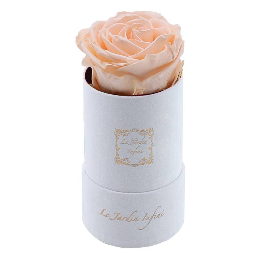 Single Champagne Preserved Rose - Luxury Small Round White Suede Box