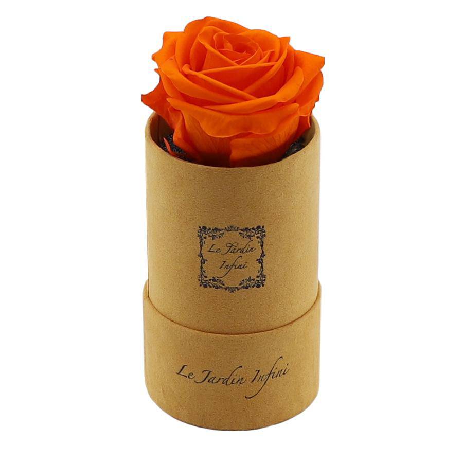 Single Orange Preserved Rose - Luxury Small Round Gold Suede Box