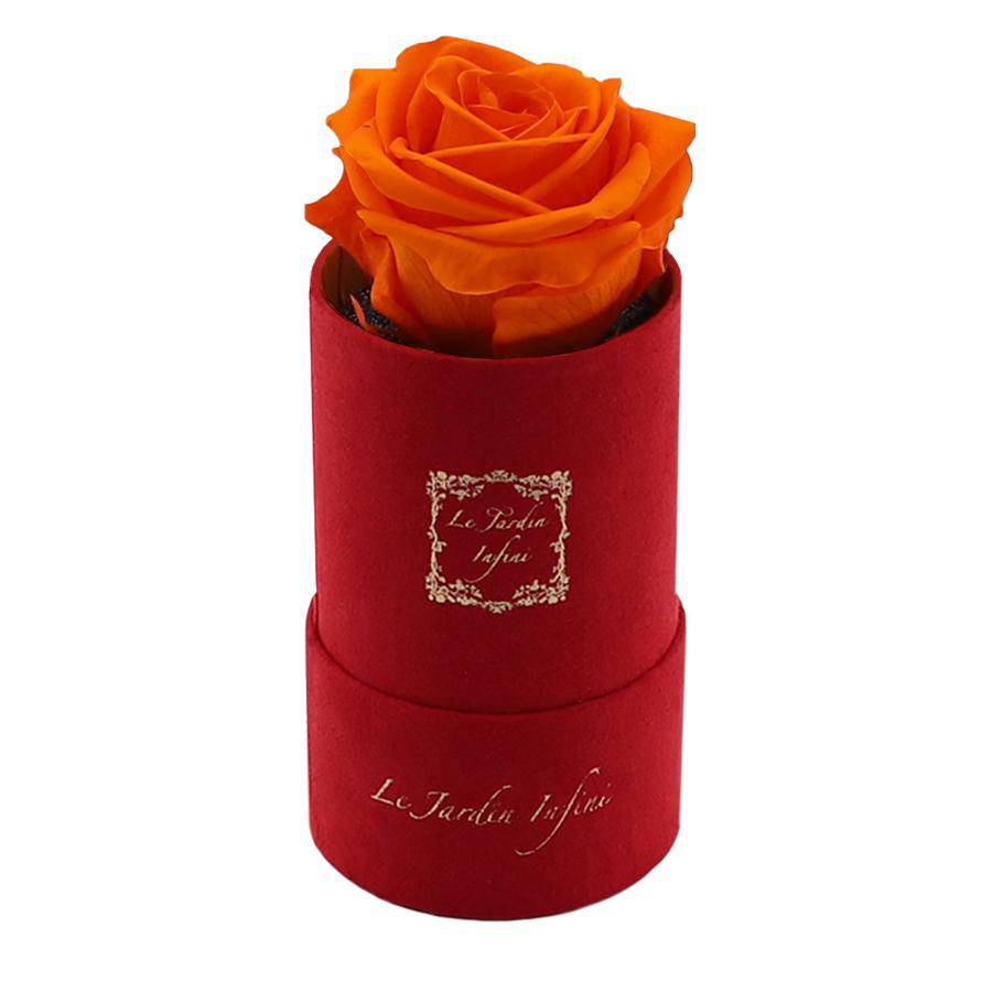 Single Orange Preserved Rose - Luxury Small Round Red Suede Box