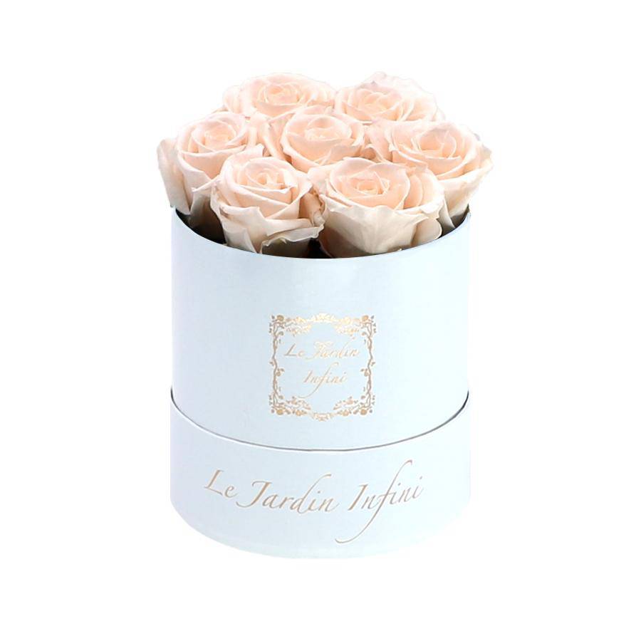 7 Champagne Preserved Roses - Luxury Round Shiny White Box