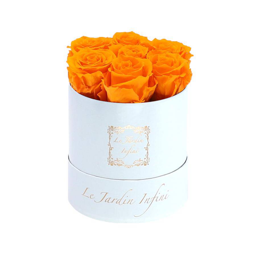 7 Orange Preserved Roses - Luxury Round Shiny White Box