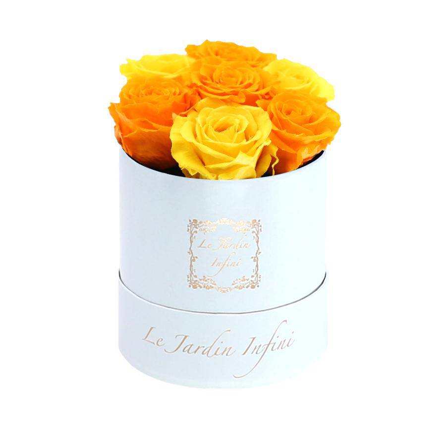 7 Warm Yellow & Orange Preserved Roses - Luxury Round Shiny White Box