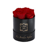 Custom Preserved Roses - New! 7 Roses Round Box - Le Jardin Infini Roses in a Box