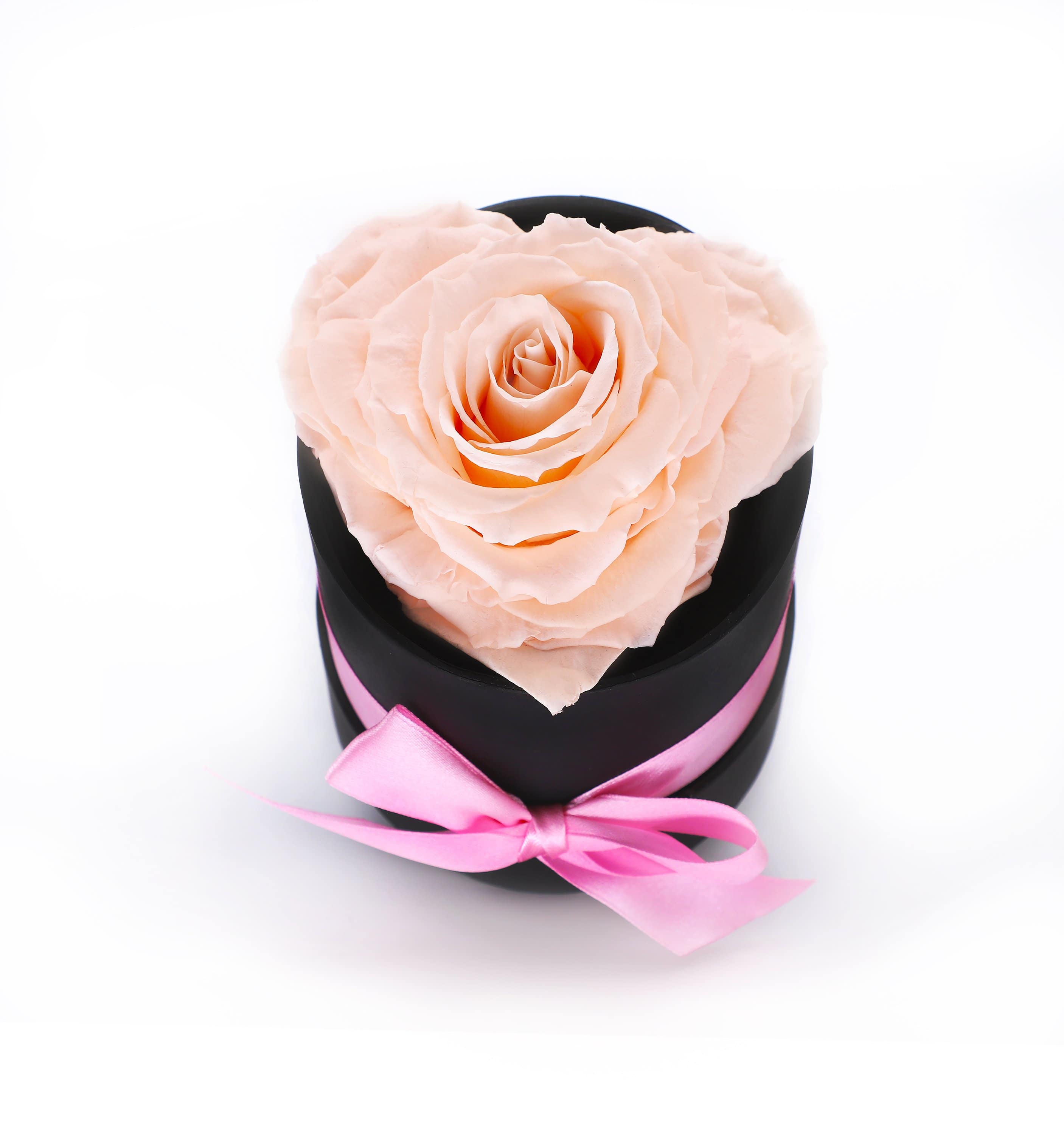 Light Pink Heart Shape Forever Rose in A Box - Black Gift Box - Le Jardin Infini Roses in a Box