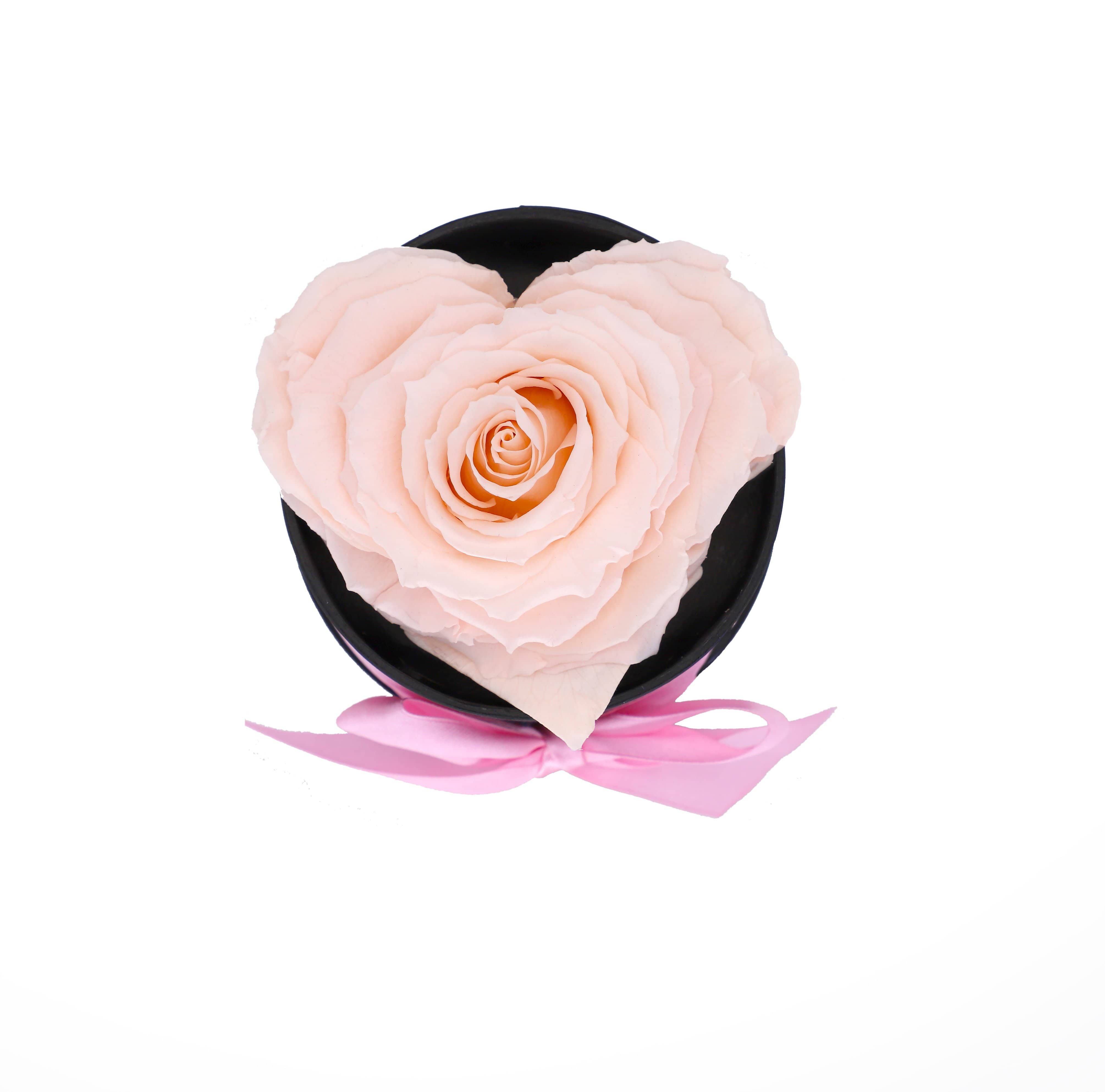 Light Pink Heart Shape Forever Rose in A Box - Black Gift Box