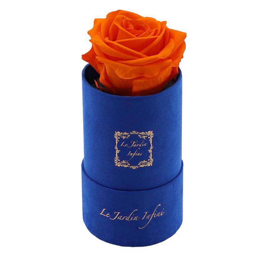 Single Orange Preserved Rose - Luxury Small Round Blue Suede Box - Le Jardin Infini Roses in a Box