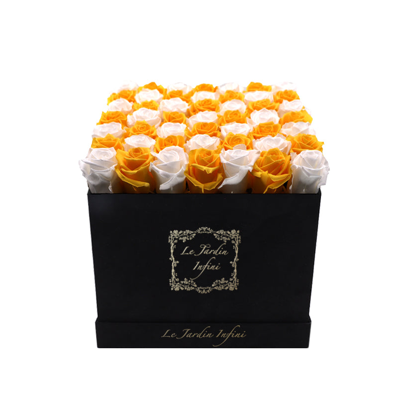 Warm Yellow & White Checker Preserved Roses - Luxury Large Square Black Suede Box
