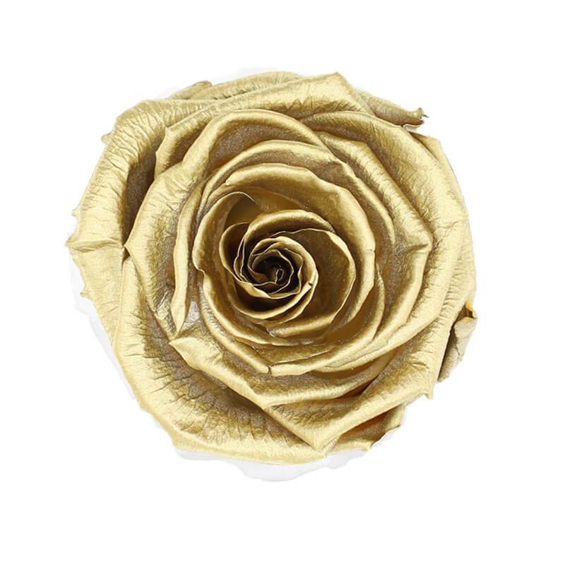 144 Blooms 24K Gold Color Wholesale Preserved Roses