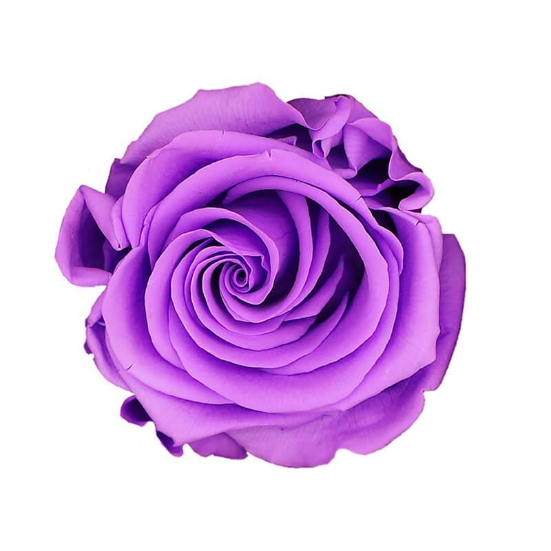 144 Blooms Bright Lilac Color Wholesale Preserved Roses