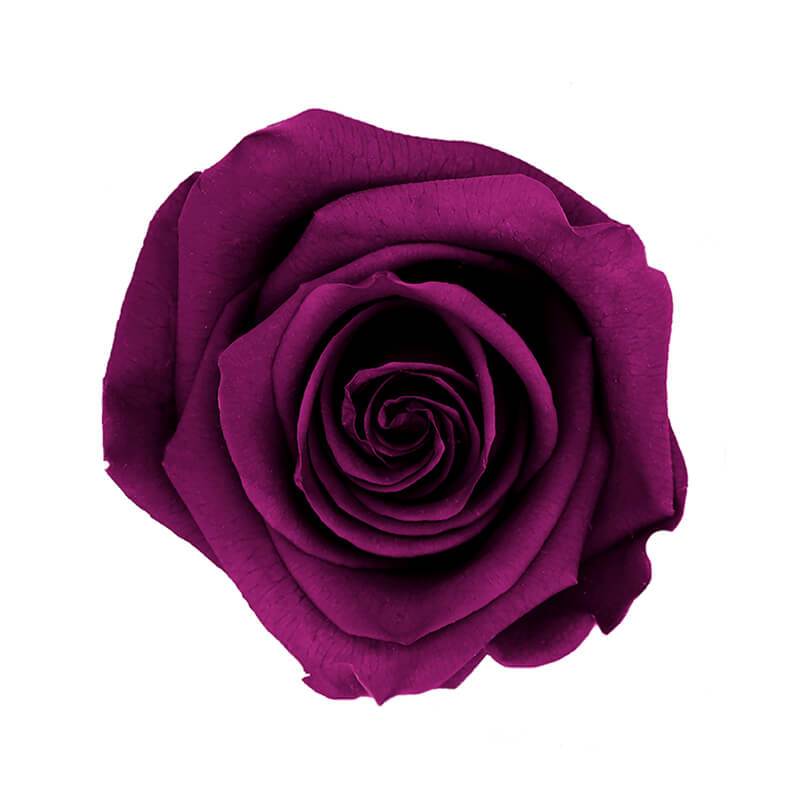 144 Blooms Vibrant Purple Color Wholesale Preserved Roses