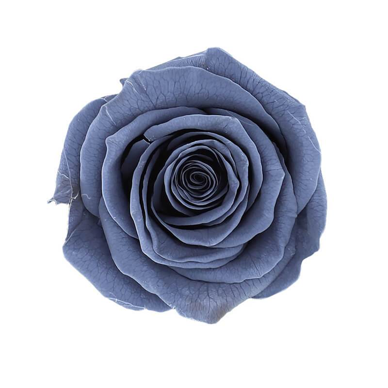 144 Blooms Grey Color Wholesale Preserved Roses