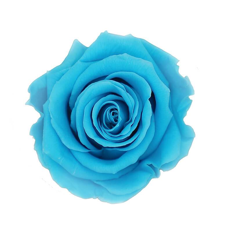144 Blooms Turquoise Color Wholesale Preserved Roses Le Jardin Infini
