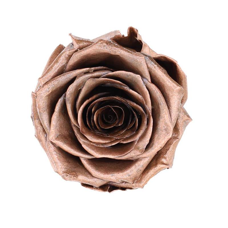 144 Blooms Copper Color Wholesale Preserved Roses