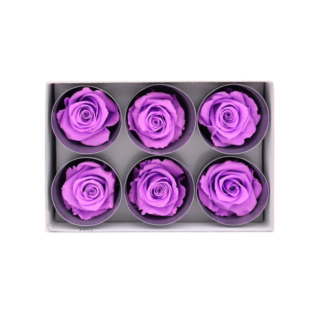 36 Bright Lilac Wholesale Preserved 6X6 Roses That Last a Year