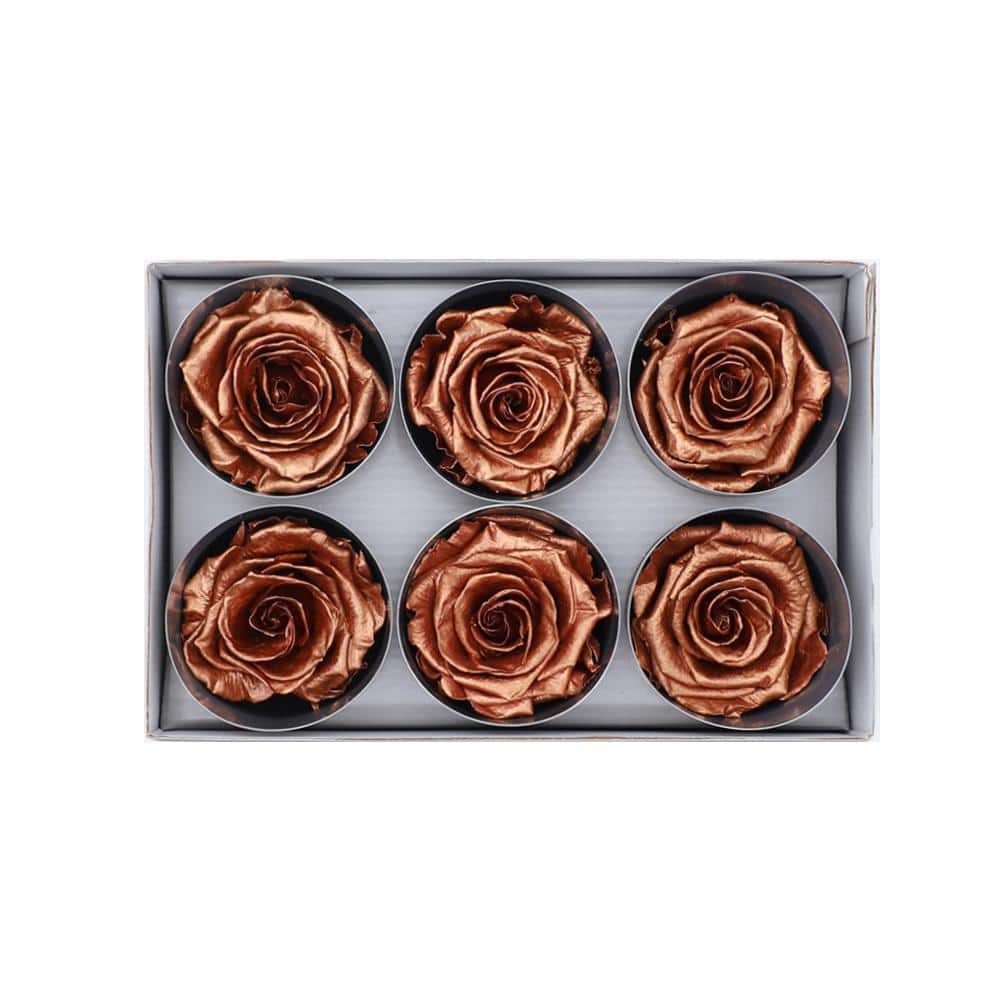 36 Copper Wholesale Preserved Roses 6X6 Roses That Last a Year