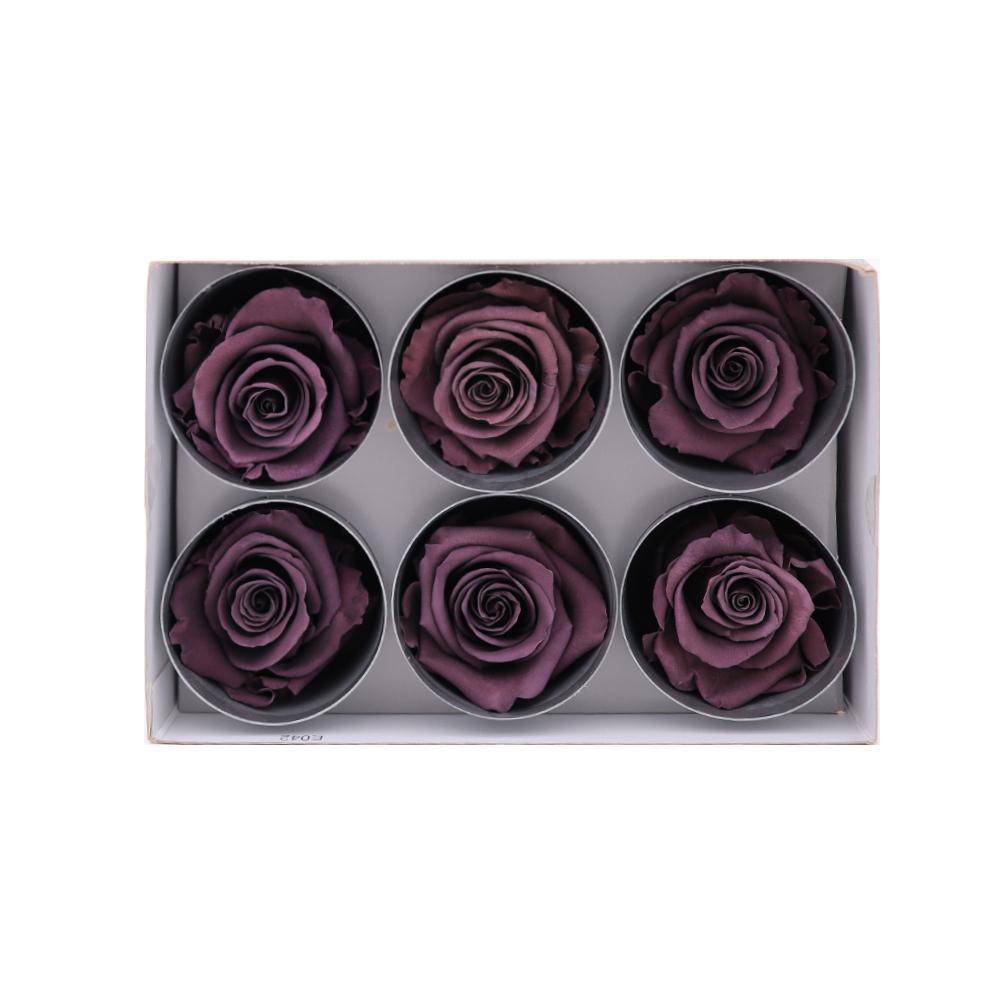 36 Dark Purple Wholesale Preserved Roses 6X6 Roses That Last a Year
