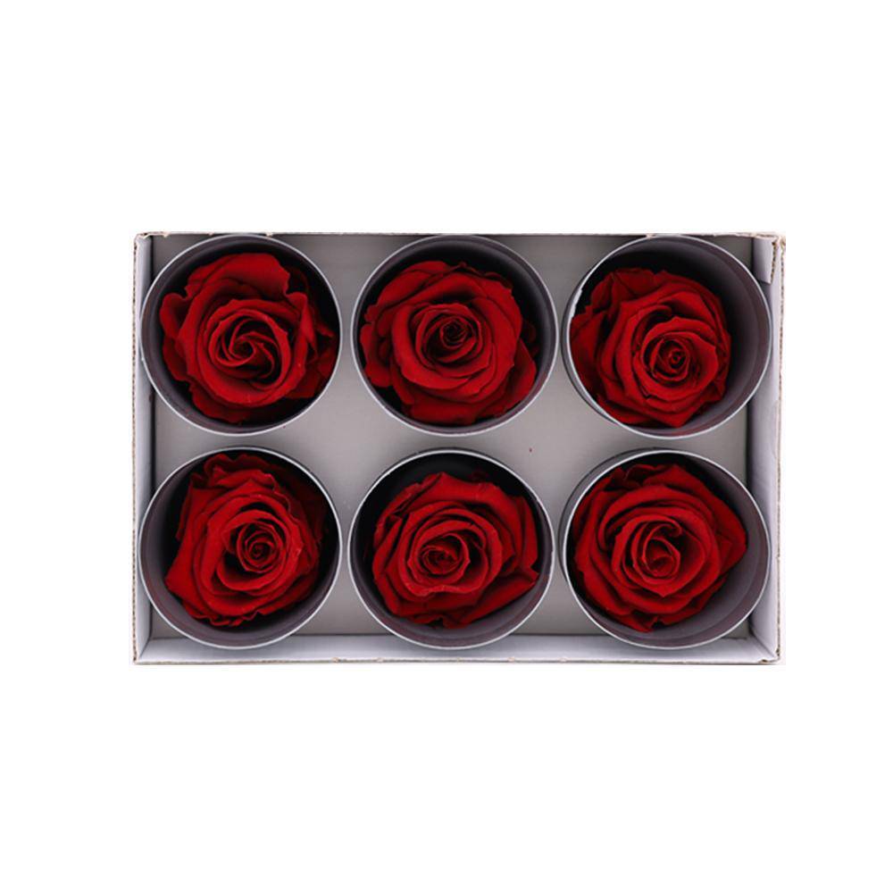 36 Dark Red Wholesale Preserved Roses 6X6 Roses That Last a Year