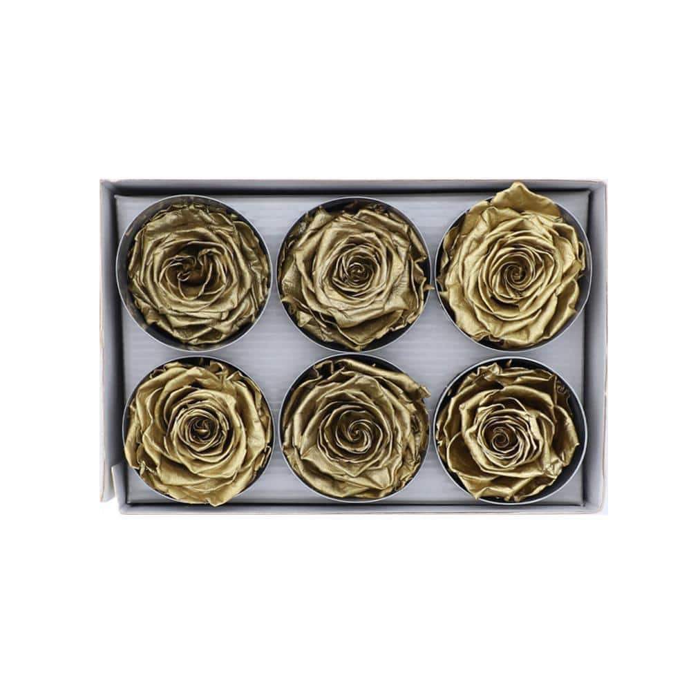 36 Gold Wholesale Preserved Roses 6X6 Roses That Last a Year