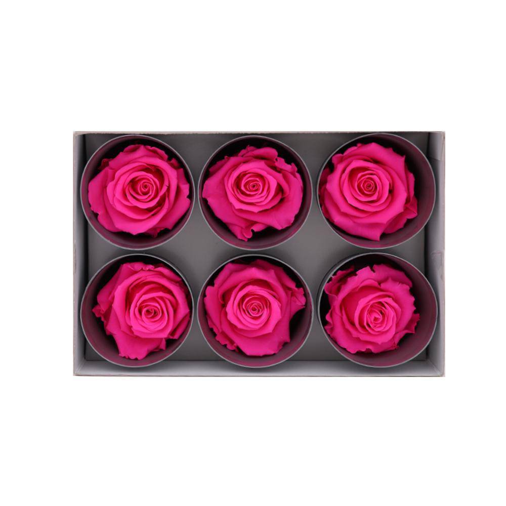 36 Hot Pink Wholesale Preserved Roses 6X6 Roses That Last a Year