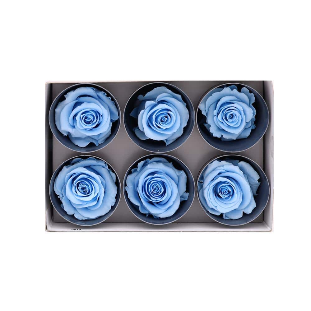 36 Light Blue Wholesale Preserved Roses 6x6 Roses That Last a Year