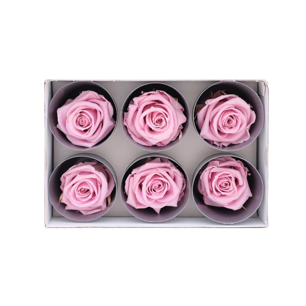 36 Pink Wholesale Preserved Roses 6X6 Roses That Last a Year