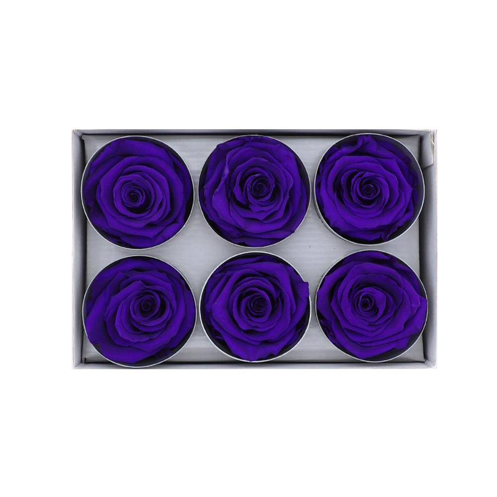 36 Purple Wholesale Preserved Roses 6X6 Roses That Last a Year
