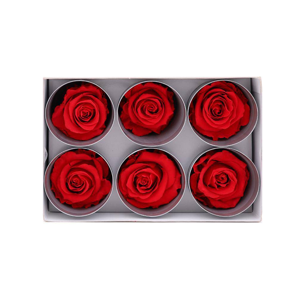 36 Red Wholesale Preserved Roses 6x6 Roses That Last a Year