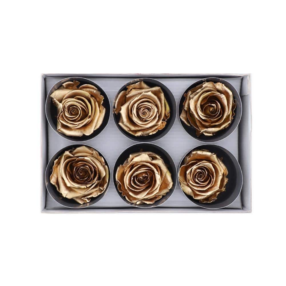 36 Rose Gold Wholesale Preserved Roses 6X6 Roses That Last a Year