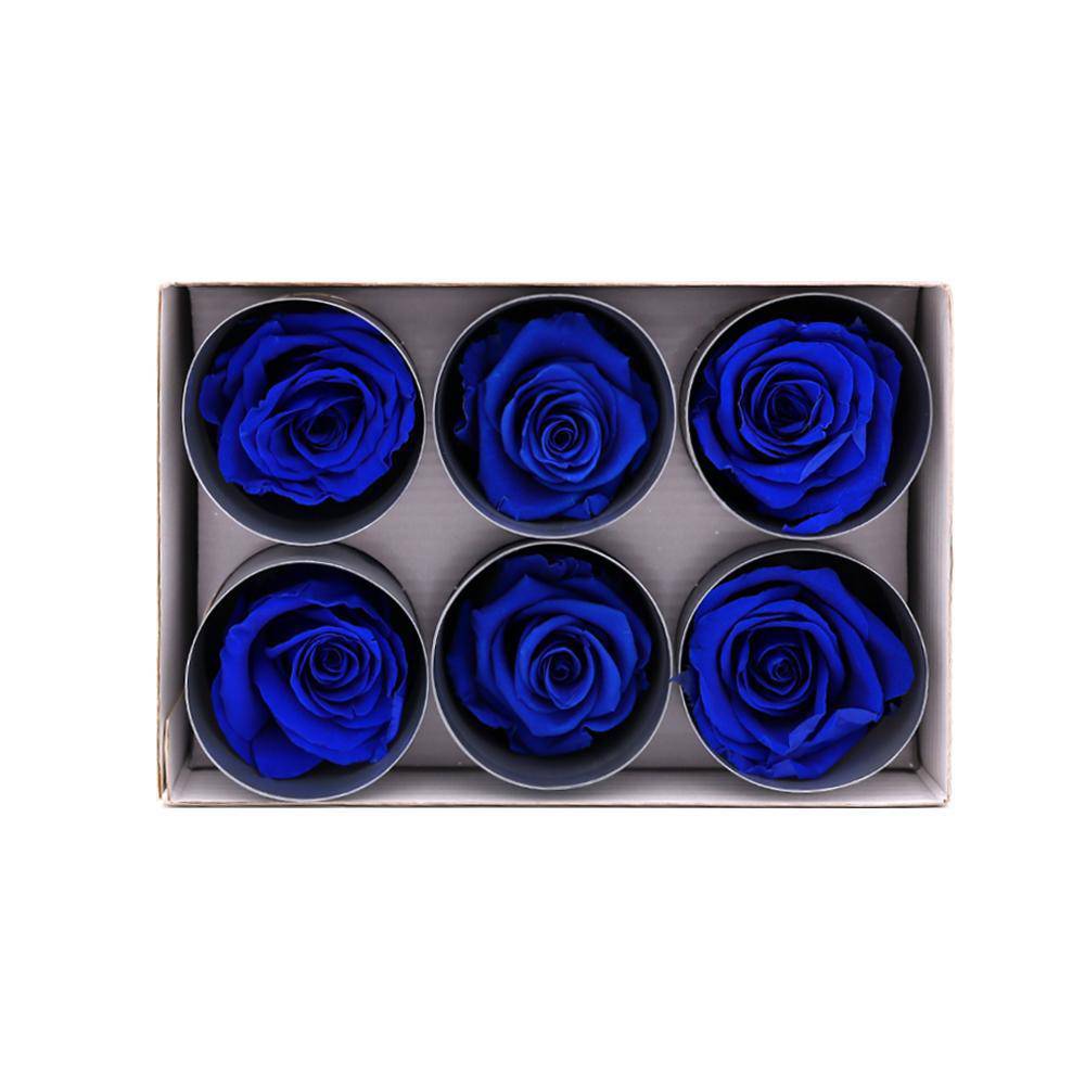 36 Royal Blue Wholesale Preserved Roses 6X6 Roses That Last a Year
