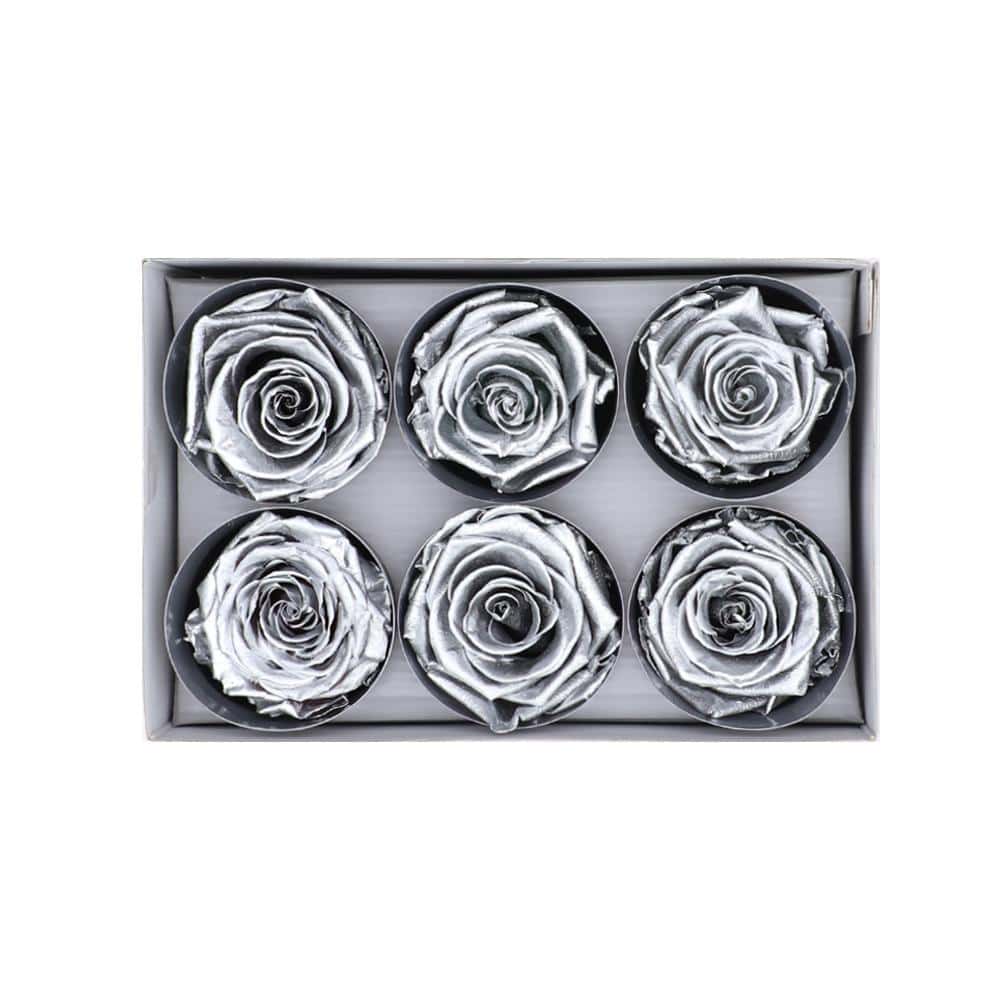 36 Silver Wholesale Preserved Roses 6X6 Roses That Last a Year