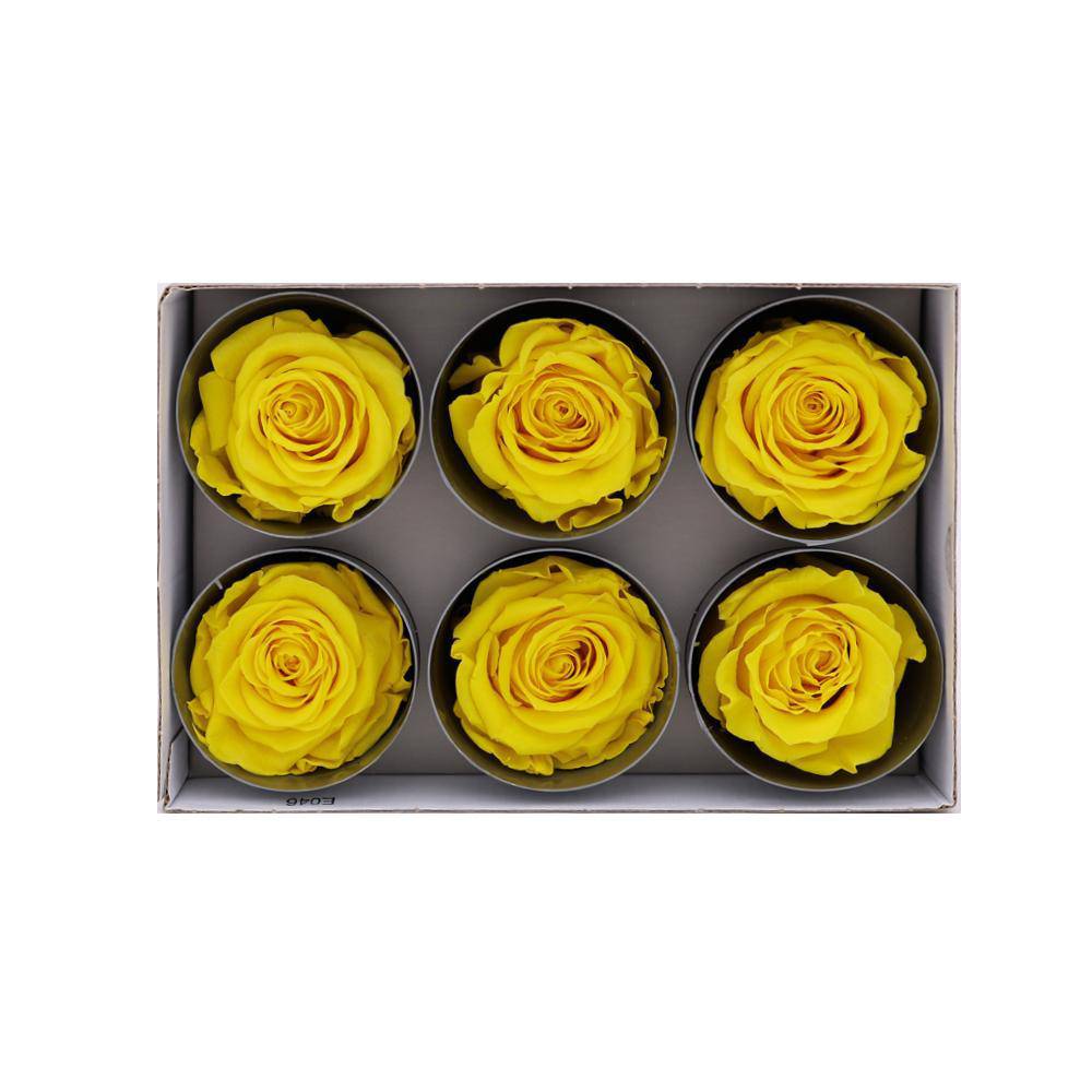 36 Warm Yellow Wholesale Preserved Roses 6X6 Roses That Last a Year
