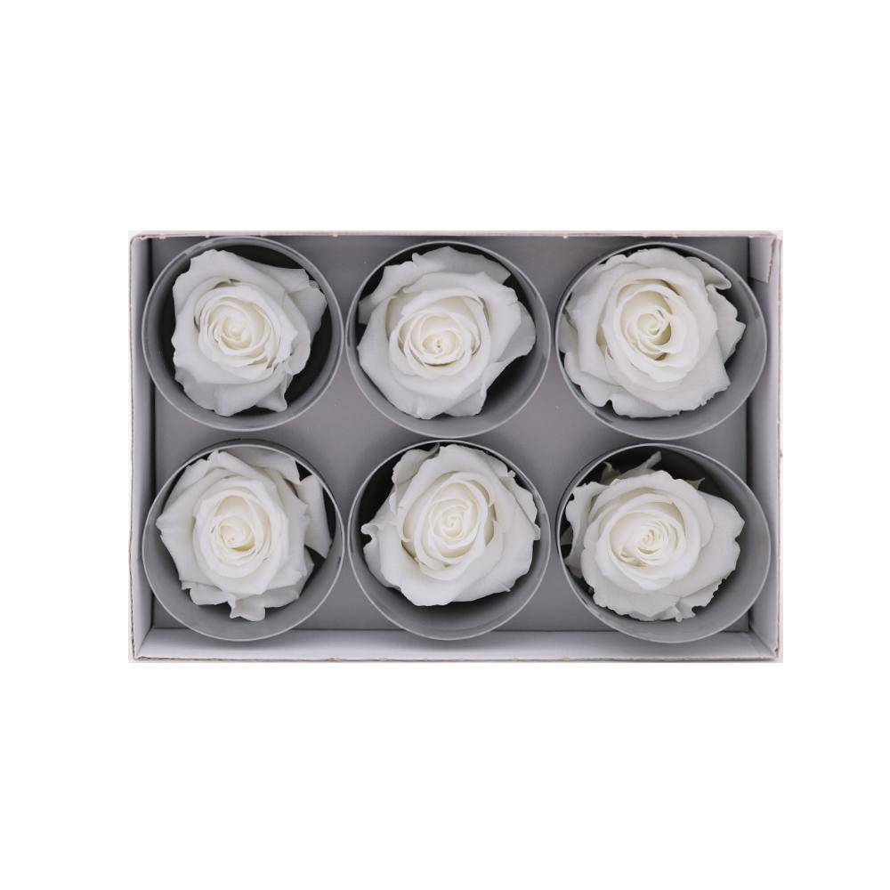 36 White Wholesale Preserved Roses 6X6 Roses That Last a Year