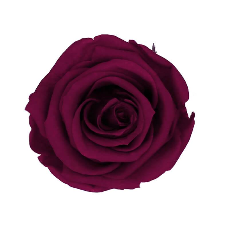 144 Blooms Purple Color Wholesale Preserved Roses Le Jardin Infini